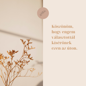 Életmód és Táplálkozási Tanácsadás